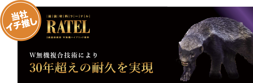 ラーテル