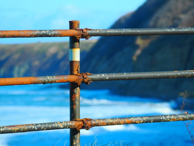 海沿いのサビた柵
