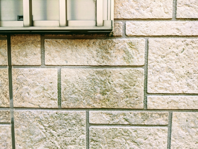 カビが生えた外壁